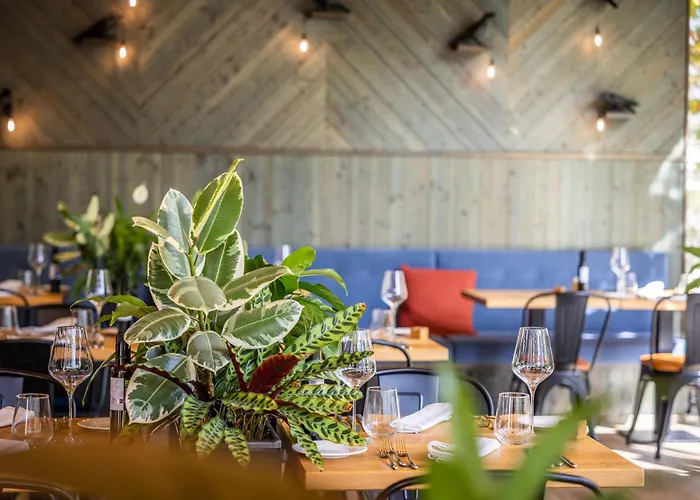 Boutique Hotel Sunrose 7 - Gourmet & Spa (Adults Only)