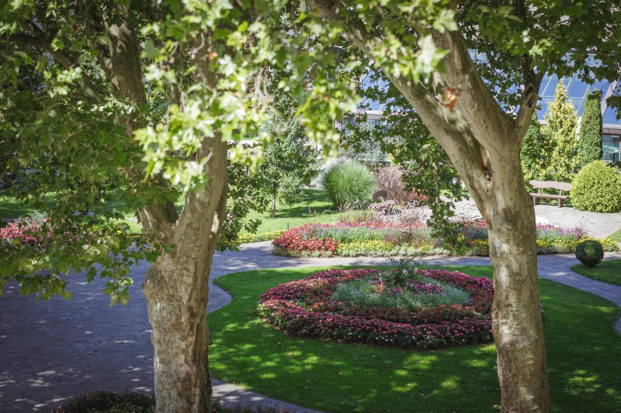 Hotel Boutique Sunrose 7 - Gourmet & (adults Only)