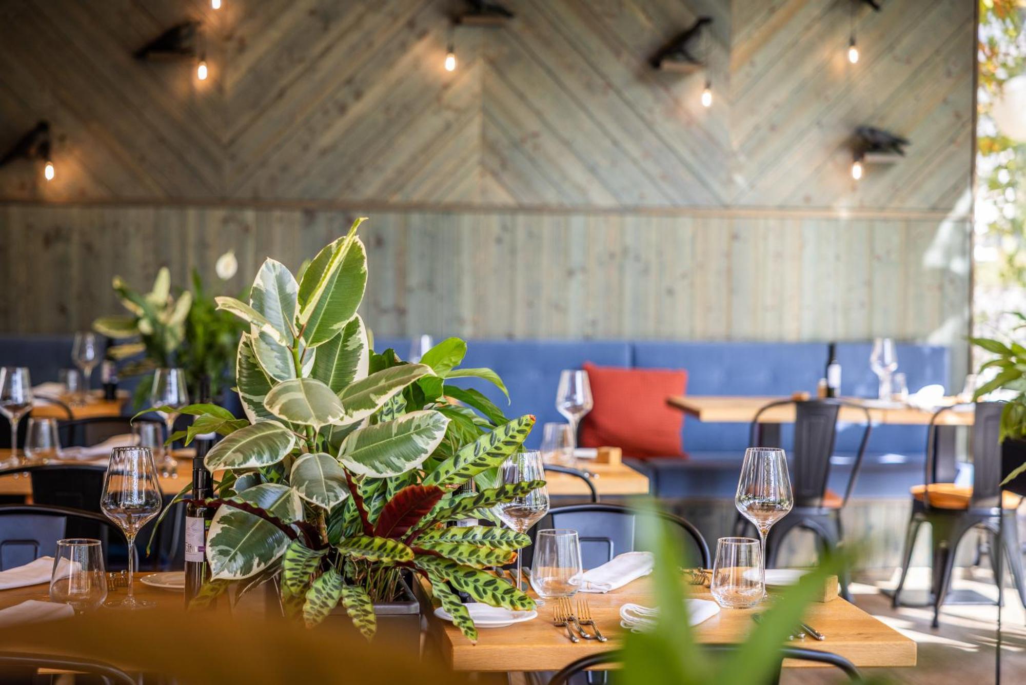 Boutique Sunrose 7 - Gourmet & (adults Only) Hotel Bohinj